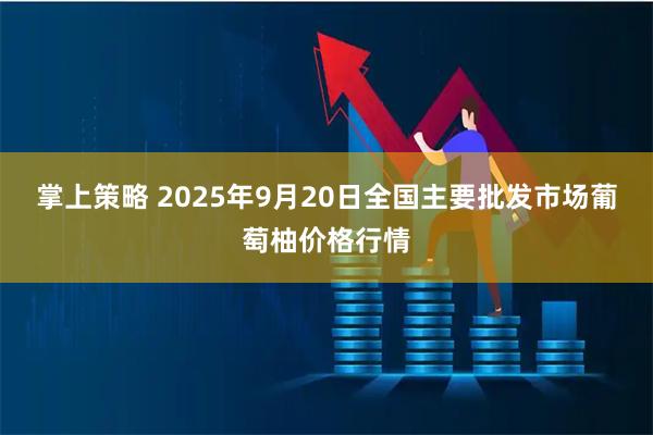 掌上策略 2025年9月20日全国主要批发市场葡萄柚价格行情