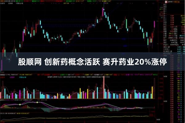 股顺网 创新药概念活跃 赛升药业20%涨停